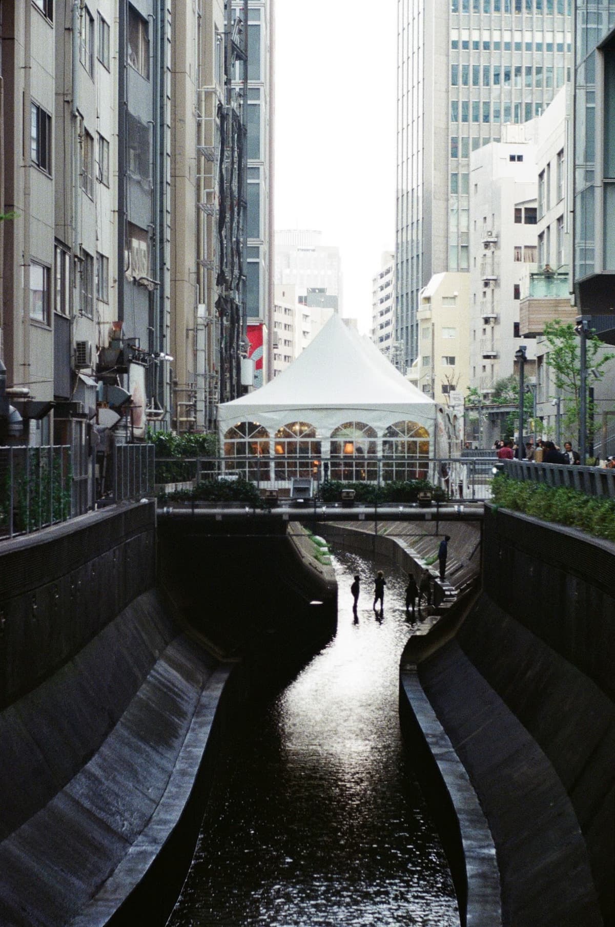 image_001