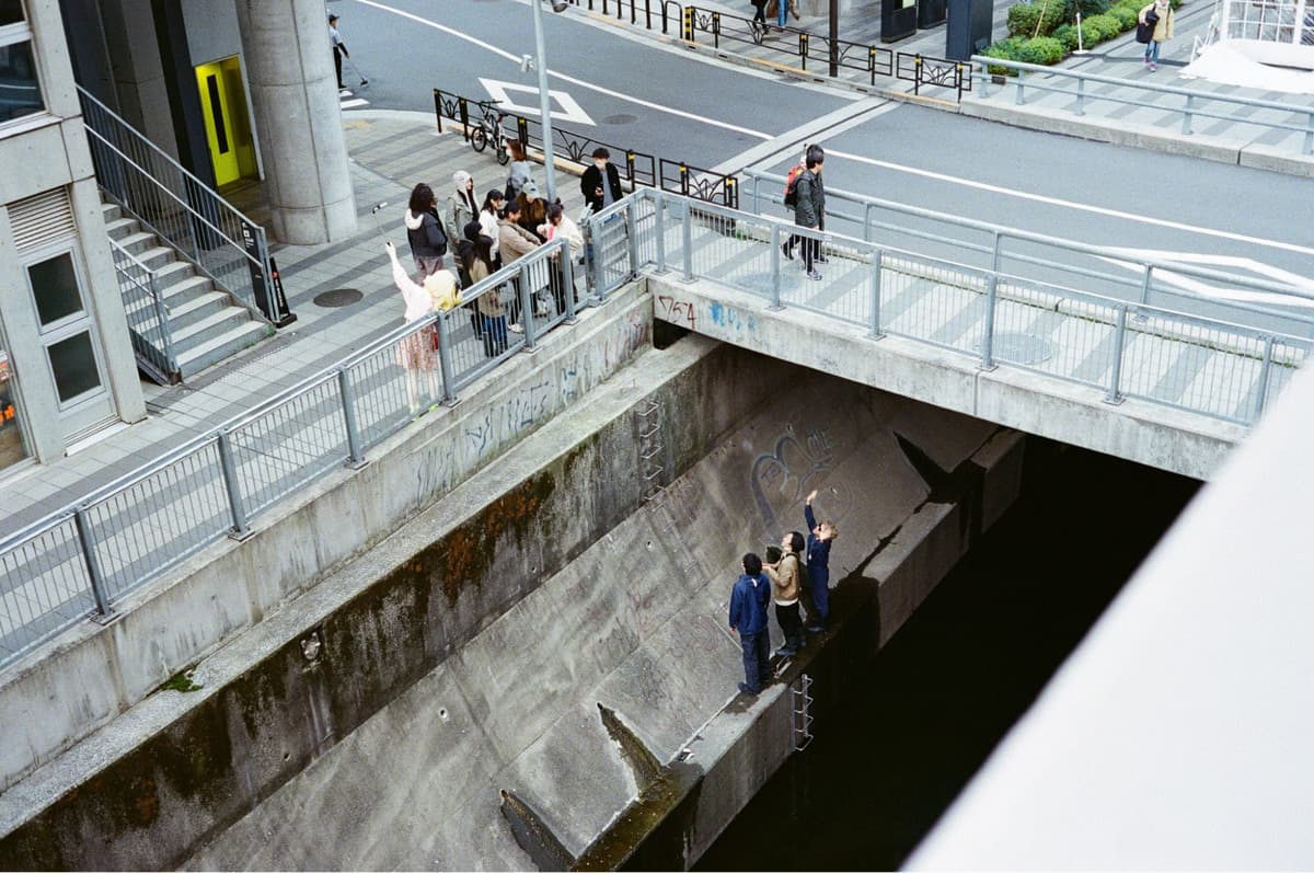 image_006