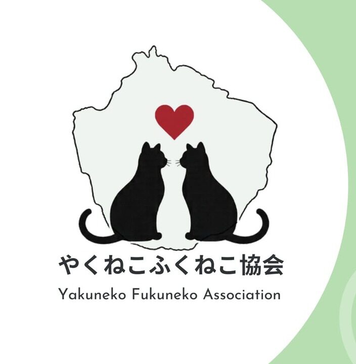 一般社団法人やくねこふくねこ協会(屋久島の豊かな生態系と猫たちの命を守るプロジェクト)